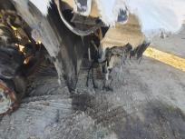 ARAÇ SATIŞA HAZIR DURUMDADIR HEDEF DEĞERE ULAŞILMASI DURUMUNDA ONAYLANACAKTIR NOTER SATIŞI SONRASI HEMEN TESLİM EDİLEBİLİR. LÜTFEN ARACI YERİNDE GÖREREK TEKLİF VERİNİZ.    